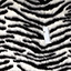 Bild på Zebra-pile